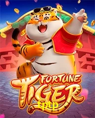 TPTP.COM